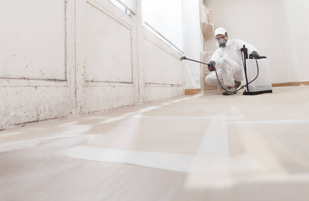 24/7 Emergency Basement Mold Removal experts in Ashland, KY