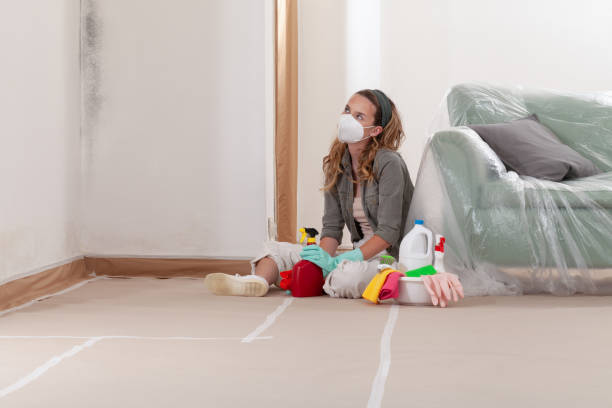 Reliable Basement Mold Removal contractor in Ashland, KY by WQB Mold Removal